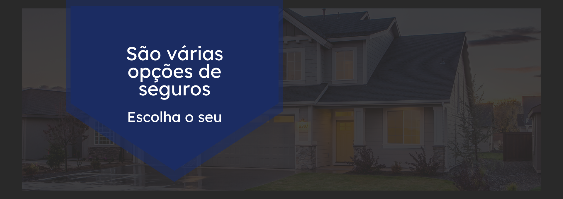 Opções de Seguros